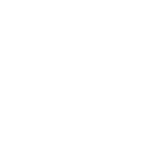 VST3